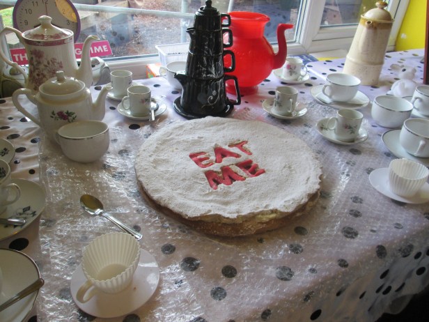  HOW CURIOUS A GIANT BISCUIT EAT ME